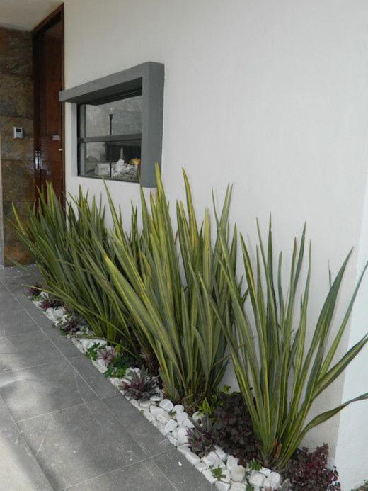Apartamento Erita Apartment Аликанте Екстериор снимка